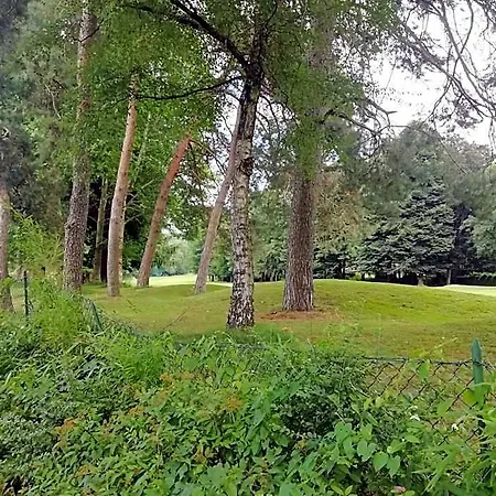 Viadelgolf41